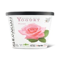 Whole Milk Bulgarian Yogurt with Rose Extract YoBul 0.47l / 16oz